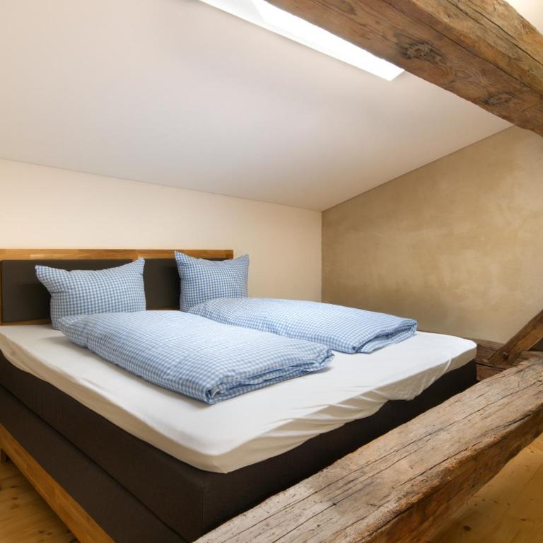 Adlerhaus, Loft Wörner -410- - Apartment - 7
