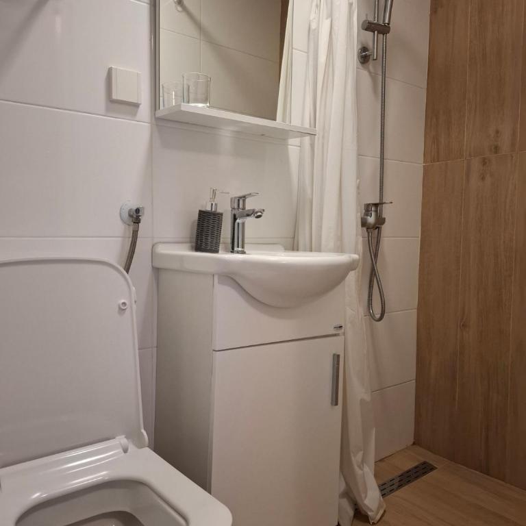 Guesthouse Unique - Dvokrevetna Soba sa Bračnim Krevetom i Sopstvenim Kupatilom - 4