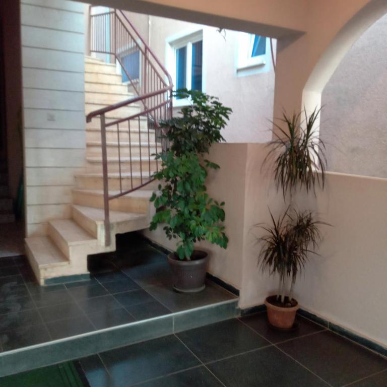 Tanja Terrace Appartments Dobre Vode - One-Bedroom Apartment - 10