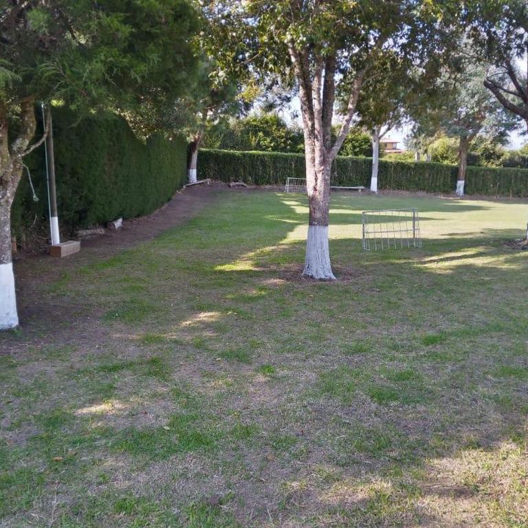 Villa Ligia - Three-Bedroom House - 8