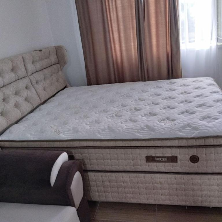 Lela Kop - Standardni Studio - 31