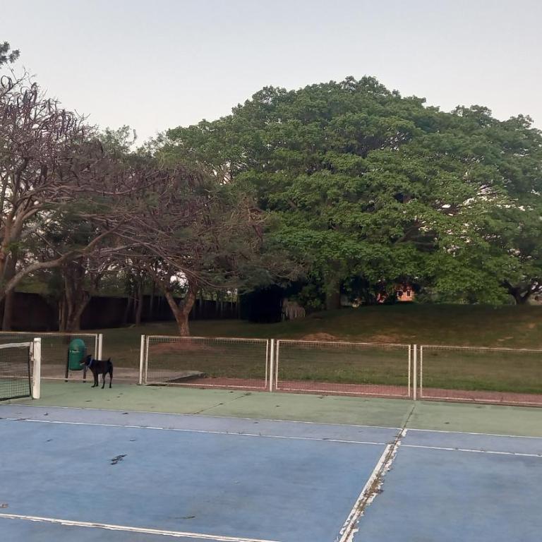 Casa muy cómoda Santa Cruz - Three-Bedroom Apartment with Private Pool - 12