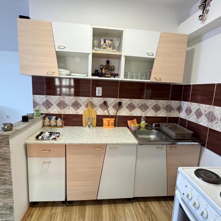 Apartman Zigic - Apartman sa 1 Spavaćom Sobom - 26