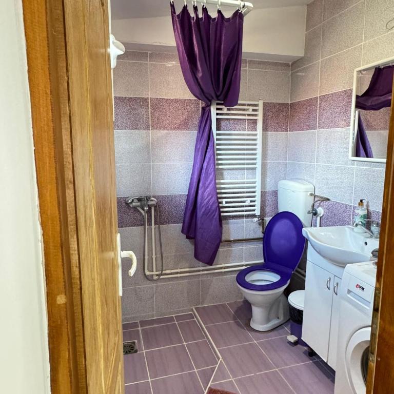 Apartman Zigic - Apartman sa 1 Spavaćom Sobom - 32