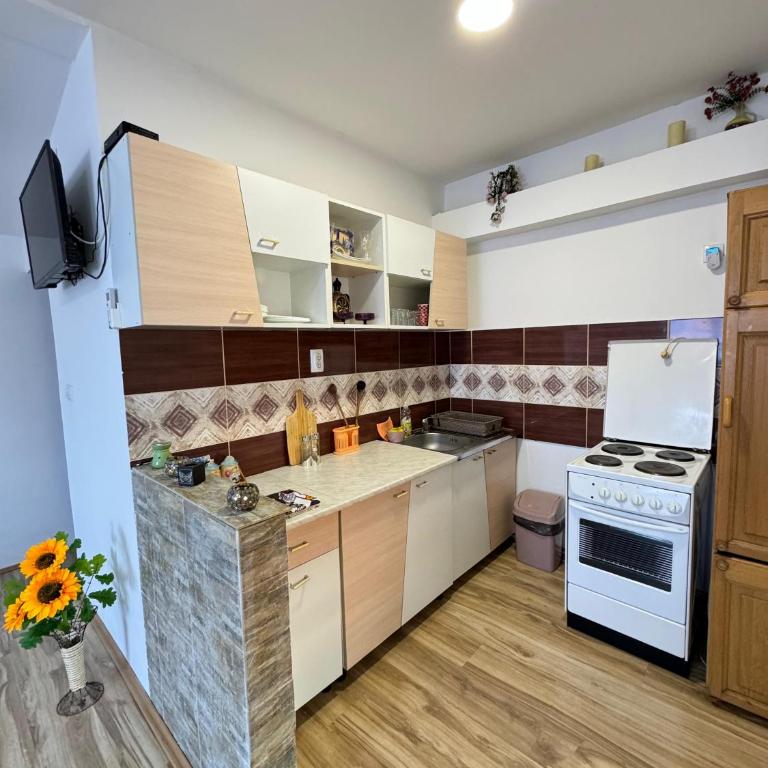 Apartman Zigic - Apartman sa 1 Spavaćom Sobom - 25