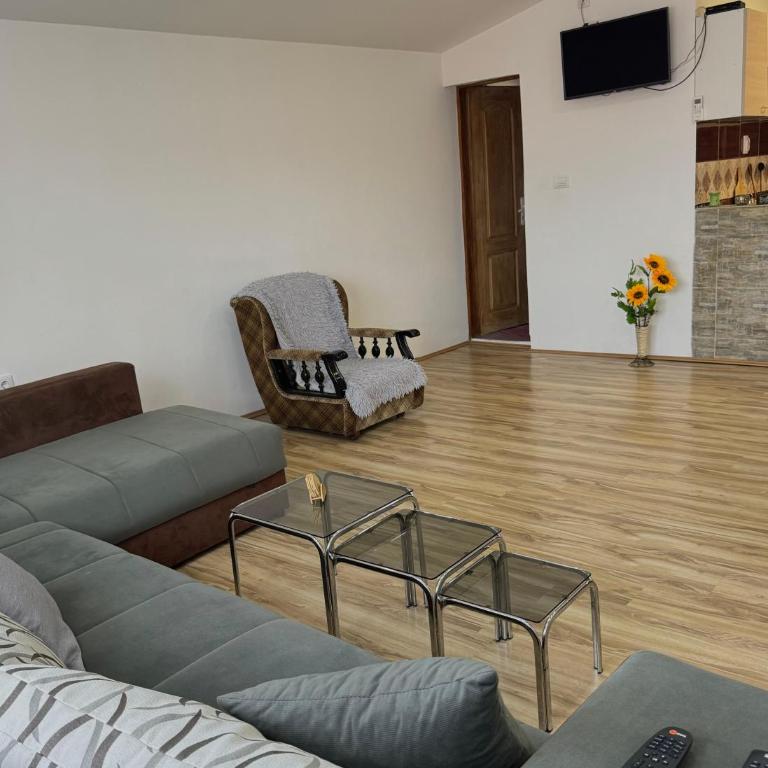 Apartman Zigic - Apartman sa 1 Spavaćom Sobom - 5