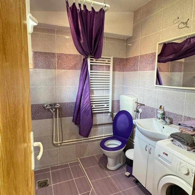 Apartman Zigic - Apartman sa 1 Spavaćom Sobom - 29