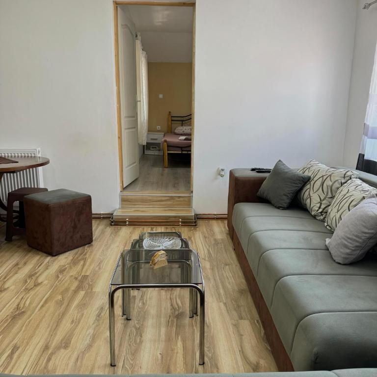 Apartman Zigic - Apartman sa 1 Spavaćom Sobom - 12