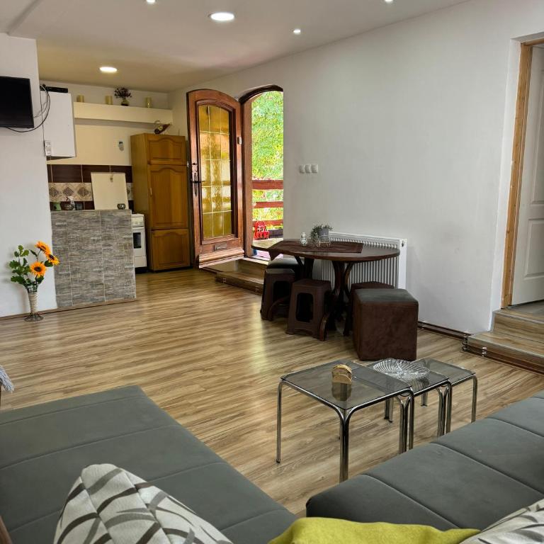 Apartman Zigic - Apartman sa 1 Spavaćom Sobom - 14