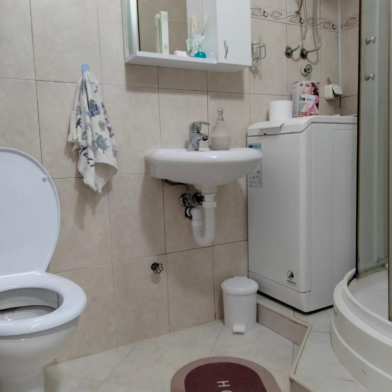 Apartment studio Ignjatovic - Apartman sa 1 Spavaćom Sobom – Nepušački - 20