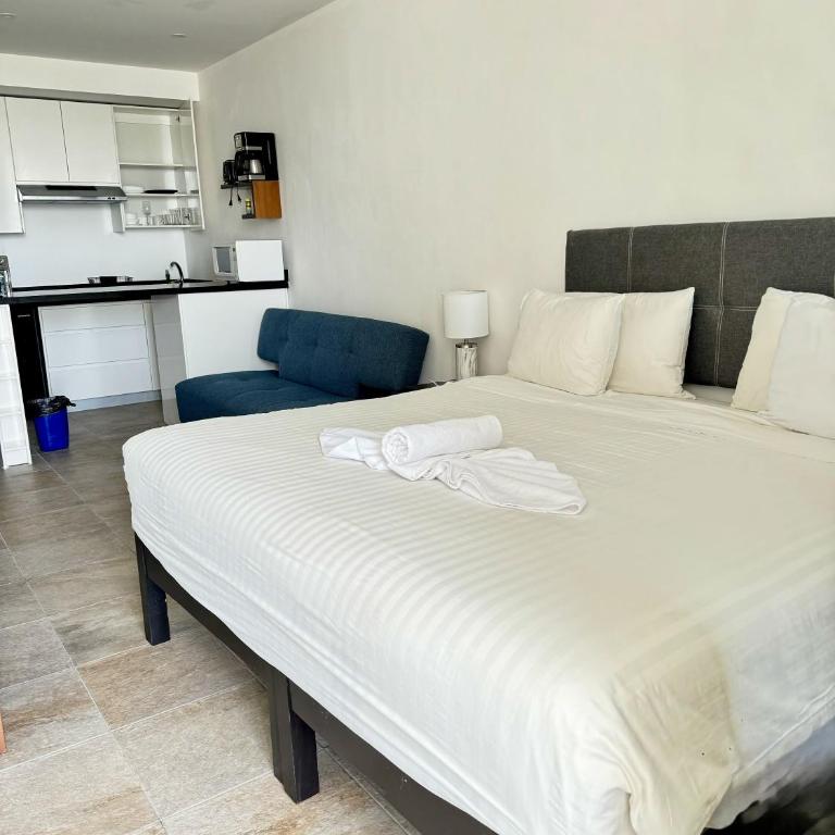Studios with roofpool in Vanessa 24 - Estudio Triple Estándar - 17