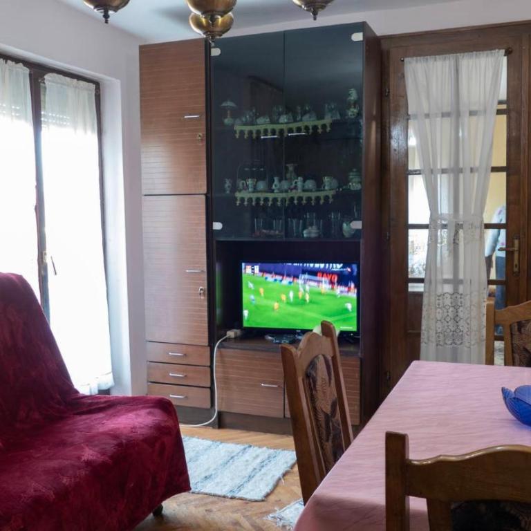 Apartmani Aleksić - AS u centru Sokobanje - One-Bedroom Apartment - 8