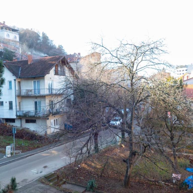 Apartmani Aleksić - AS u centru Sokobanje - One-Bedroom Apartment - 15