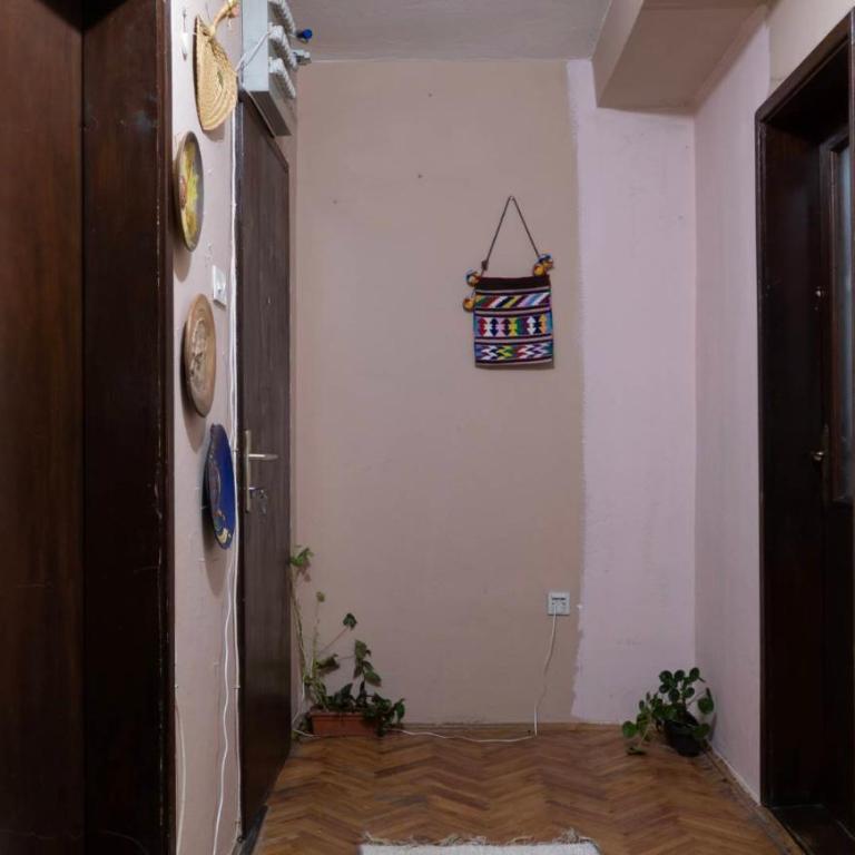 Apartmani Aleksić - AS u centru Sokobanje - One-Bedroom Apartment - 22