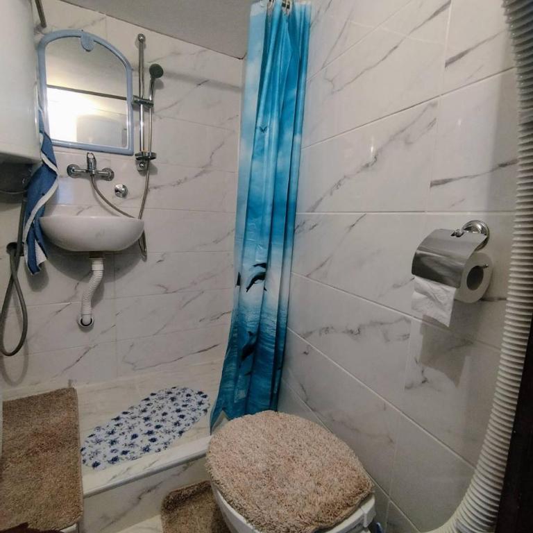 Apartmani Aleksić - AS u centru Sokobanje - One-Bedroom Apartment - 25