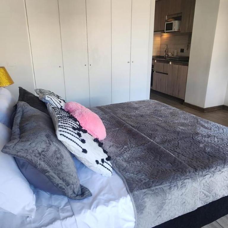 Loft sorprendente con Gym en comuna Independencia - Apartamento de 1 dormitorio - 14