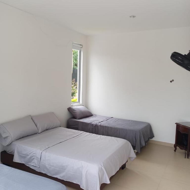 Villa Carolina - Apartamento de 1 dormitorio - 2