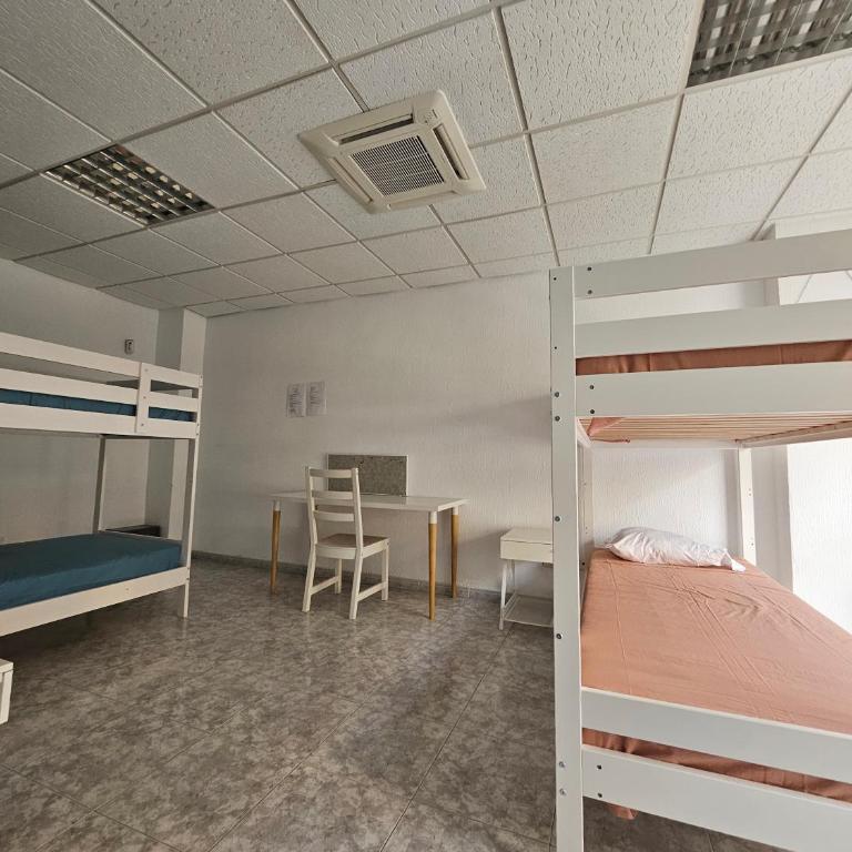 Corralejo Coliving by Amazzzing Travel - Cama individual en habitación compartida - 12