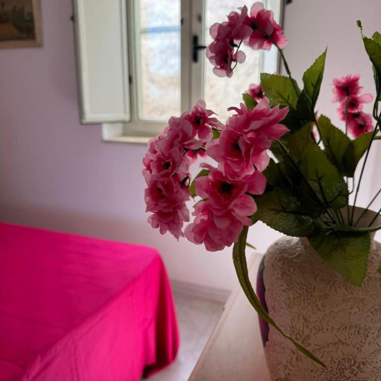 Dimora Flaminio - Appartamento - 7