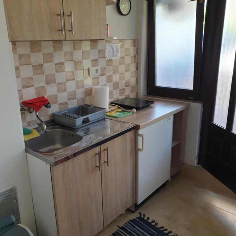 Apartmani Mile - Apartman sa 1 Spavaćom Sobom - 10
