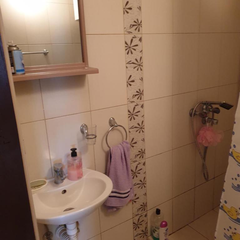 Apartmani Mile - Apartman sa 1 Spavaćom Sobom - 4