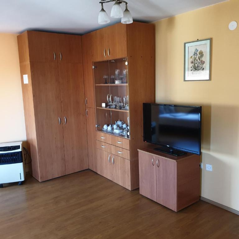 Apartmani Mile - Apartman sa 1 Spavaćom Sobom - 10