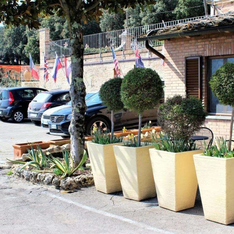 Hotel Porta Romana - LuceHotels - Camera Matrimoniale con Patio - 2