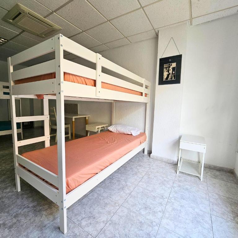 Corralejo Coliving by Amazzzing Travel - Cama individual en habitación compartida - 12