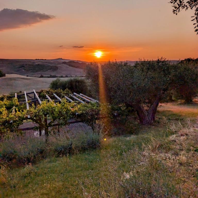 Podere Spedalone - Camera Matrimoniale/Doppia con Letti Singoli con Bagno Privato - 1