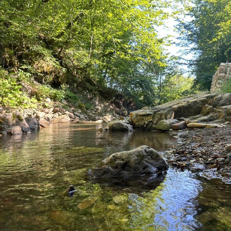 Vikendica The View Jahorina Pale - Two-Bedroom Villa - 38