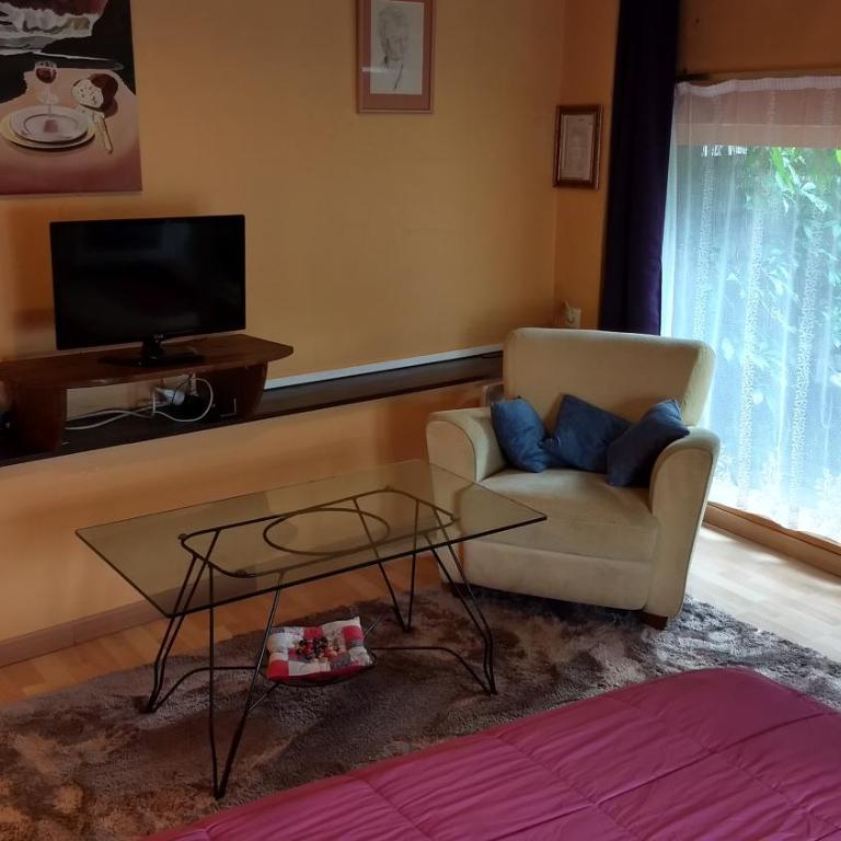 Logement cosy proche gare avec terrasse de verdure - Appartement 1 Chambre - 4