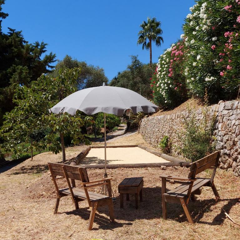 Mas Chamarel, la Provence entre vignes et oliviers proche de la mer - Maison 3 Chambres - 16