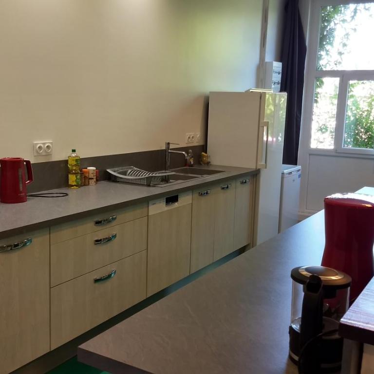 Logement spacieux et original proche gare au RDC - Appartement 2 Chambres - 7