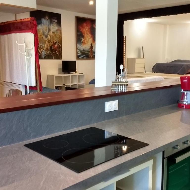 Logement spacieux et original proche gare au RDC - Appartement 2 Chambres - 6