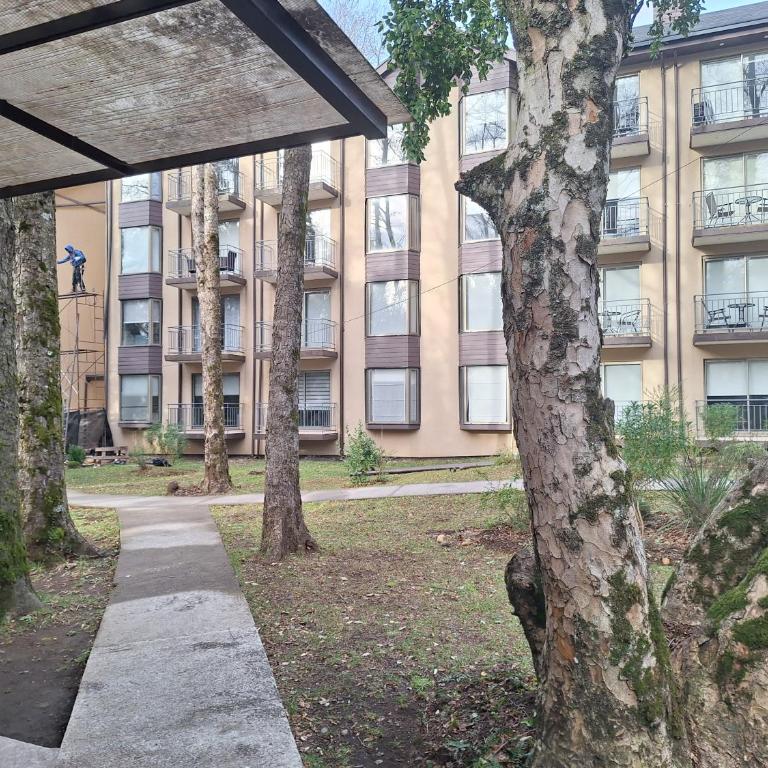 Mágico lugar en pucon - Apartamento de 1 dormitorio - 13