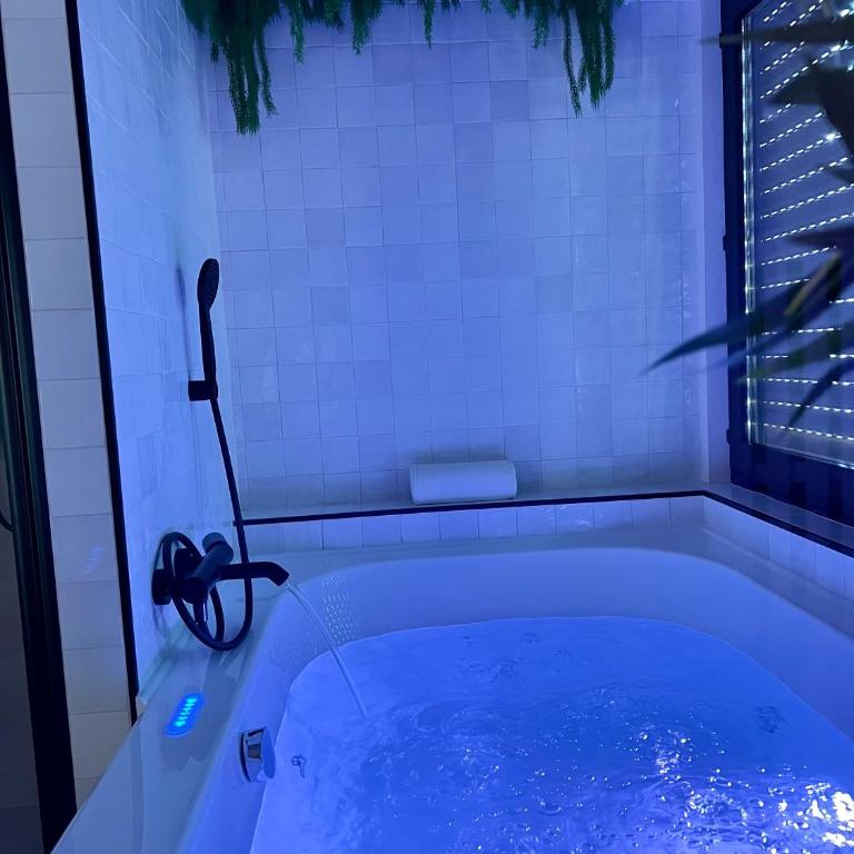 Spa et Sauna Luxueux Hyper centre avec climatisation Parking gratuit - Appartement 2 Chambres - 21