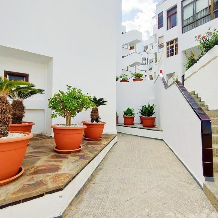 Los Cristianos Aqua Viva - Apartamento de 1 dormitorio - 15