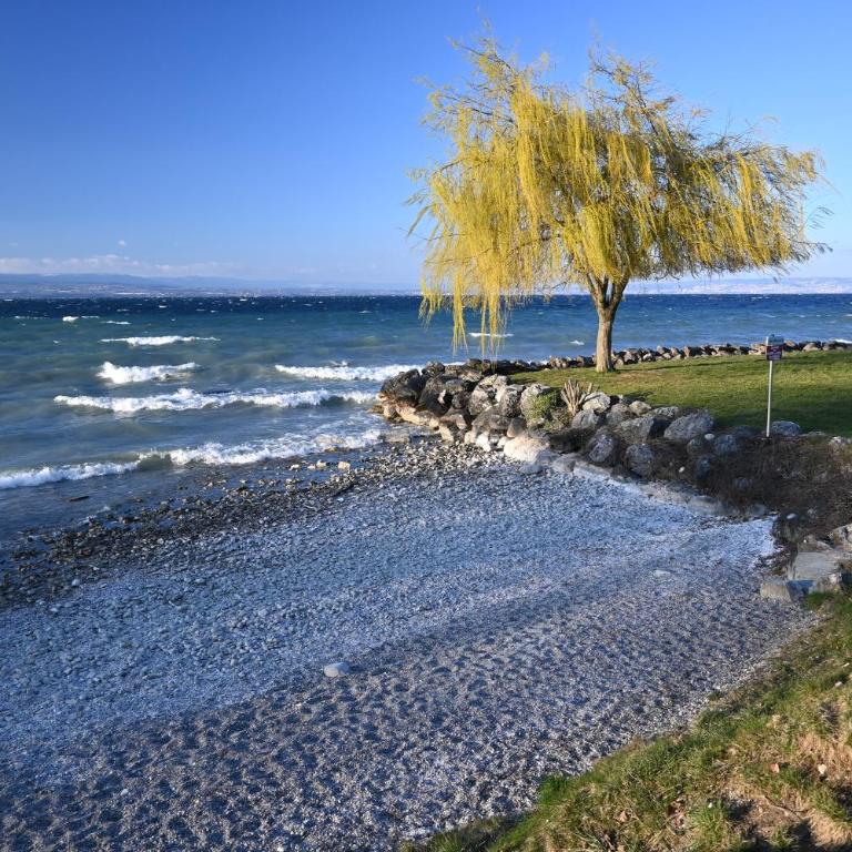 Maison de charme au bord du lac Léman - Maison 3 Chambres - 16