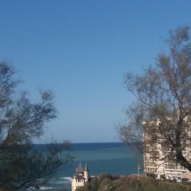 biarritz cote des basques VUE SUR MER - Monolocale con Vista Mare - 12
