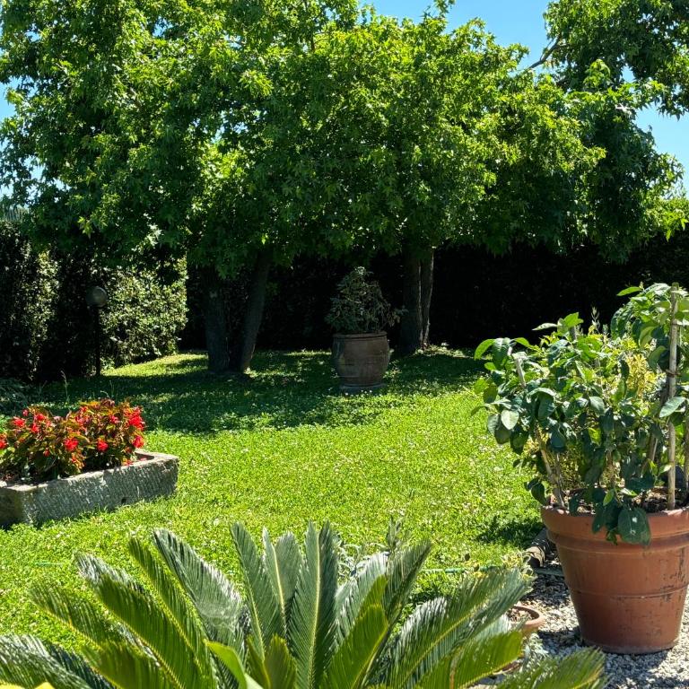 Casa corte degli olivi 1 - Two-Bedroom Apartment - 18