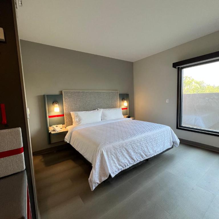 avid hotels - Guadalajara Av Vallarta Pte by IHG - Standard Room - 2