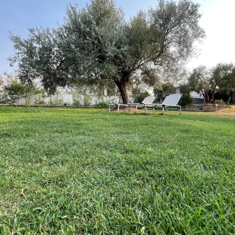 Casa con giardino vicino al mare - Casa con 1 Camera da Letto - 11