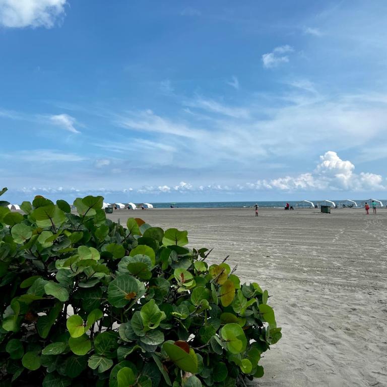 Morros 922 Beach House - Apartamento de 2 dormitorios - 15
