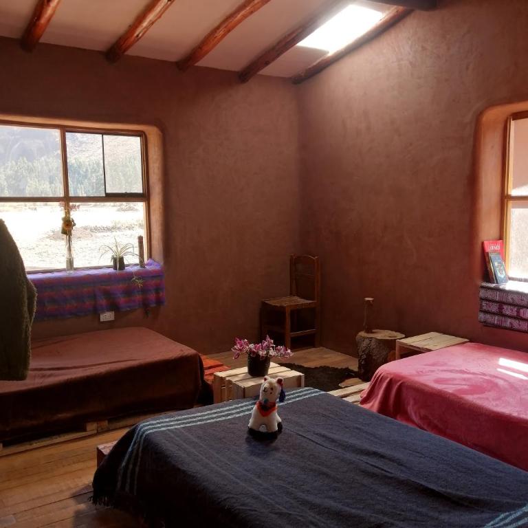 Hakuna Matata Wasi - Cama individual en habitación compartida - 2