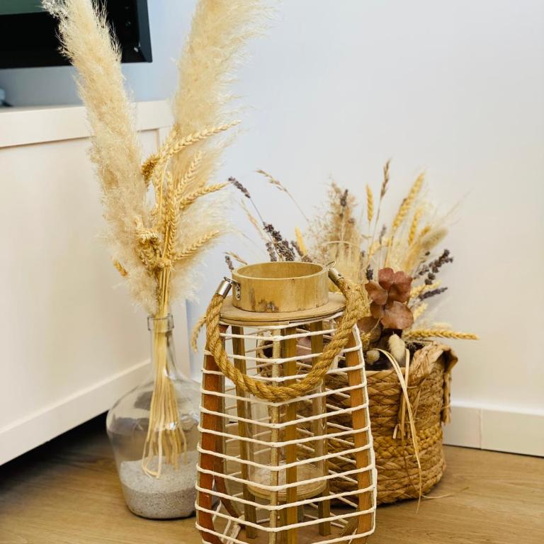 Appart cosy Carnon-plage - Appartement 1 Chambre - 31