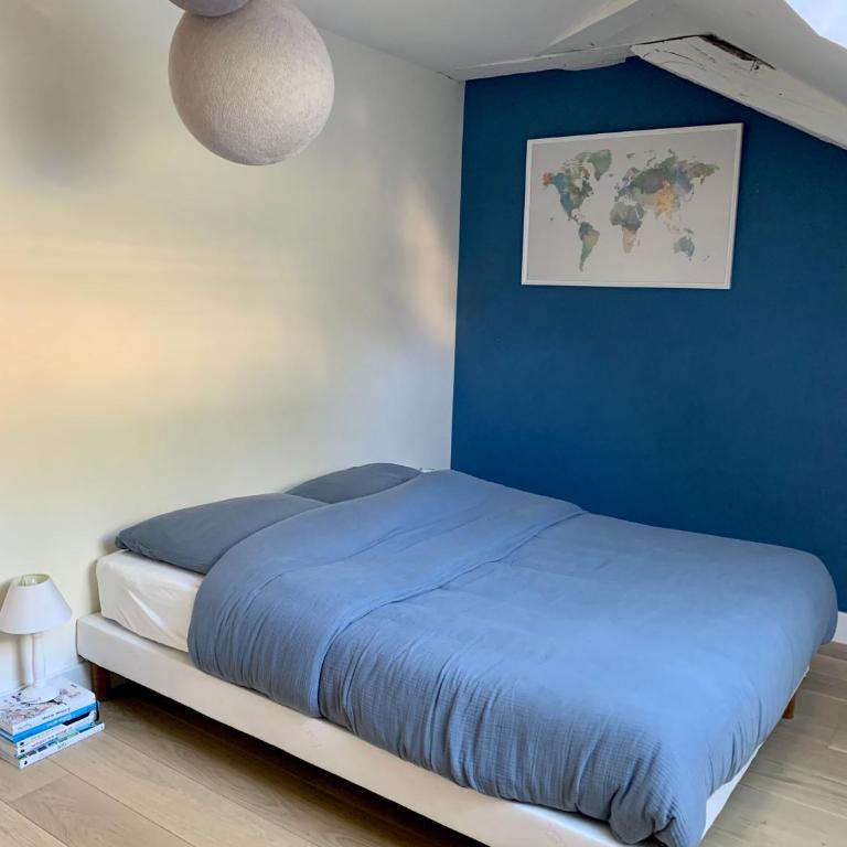 Angers hyper centre grand appart plein de charme - Appartement - 8