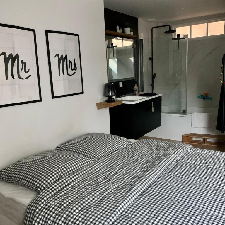 Angers hyper centre grand appart plein de charme - Appartement - 4