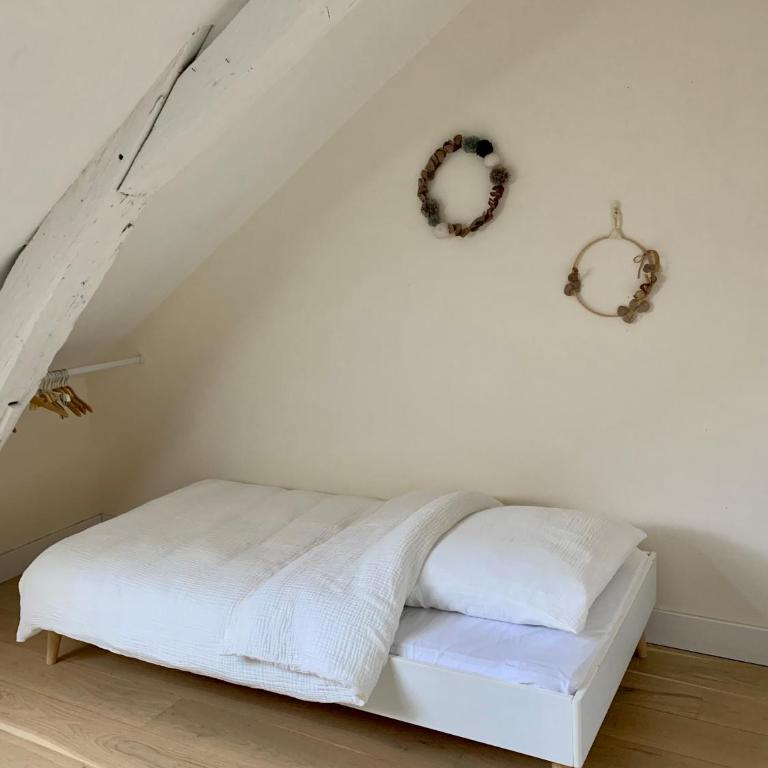 Angers hyper centre grand appart plein de charme - Appartement - 9