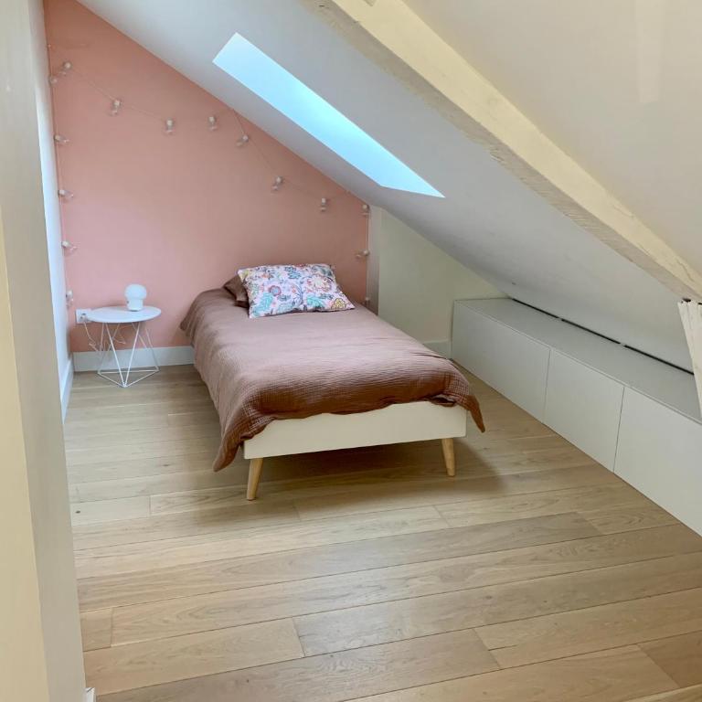 Angers hyper centre grand appart plein de charme - Appartement - 10