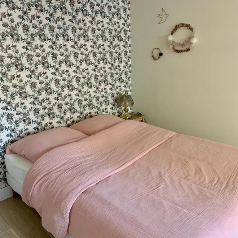 Angers hyper centre grand appart plein de charme - Appartement - 6